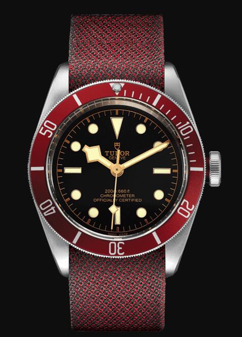 Tudor BLACK BAY M79230R-0009 Replica Watch